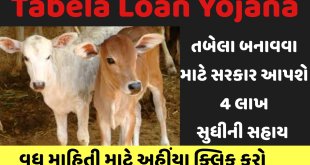 Tabela Loan Yojana